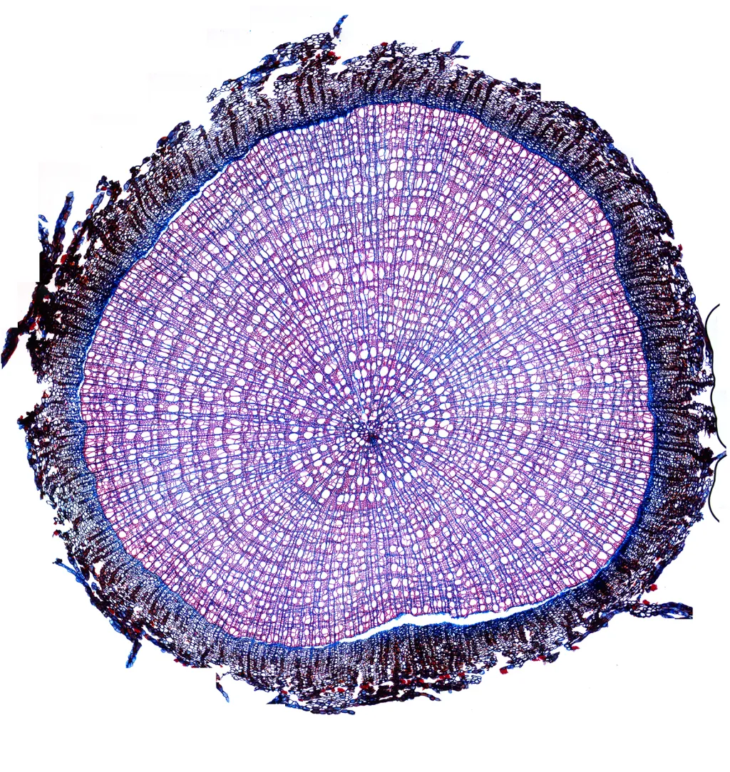 Fotosoutěž Capturing Ecology 2018