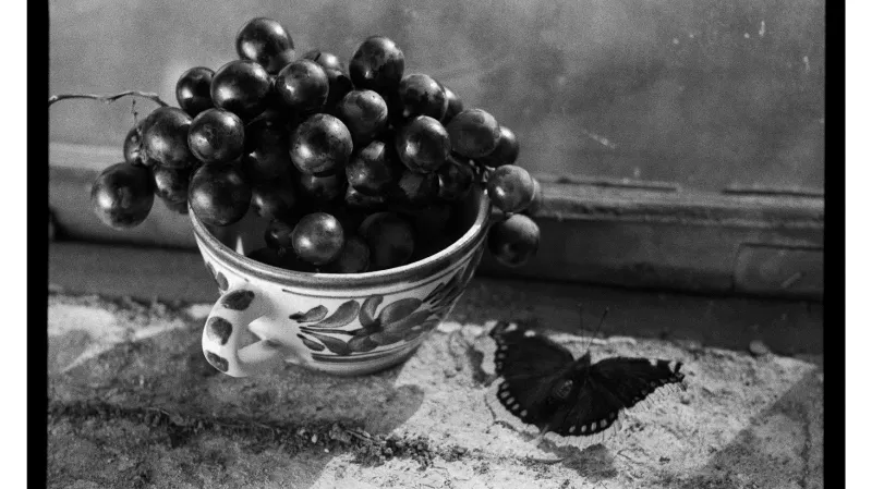 Fotografie Daniela Reynka