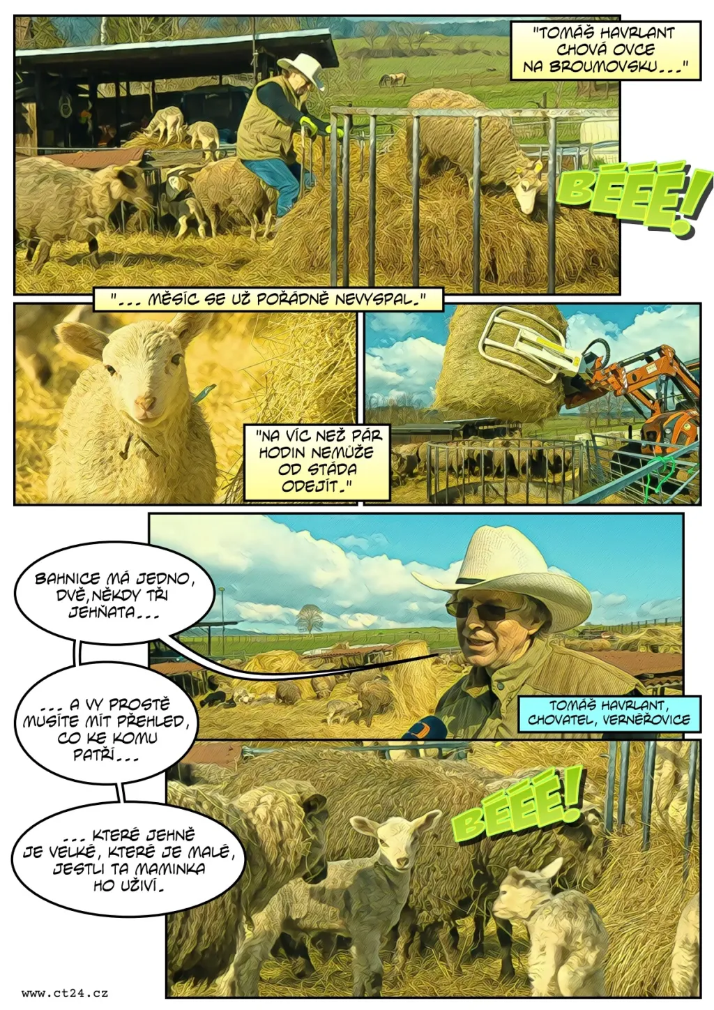 Chovatele ovcí mají obavy z vlků