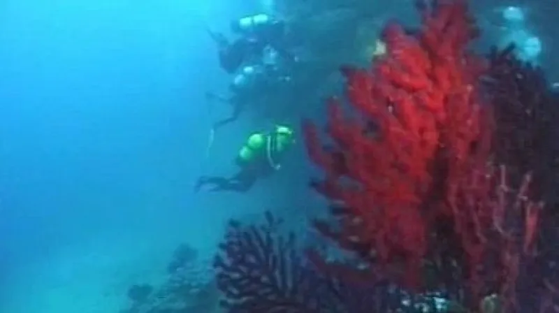 Atraktivní exotická dovolená