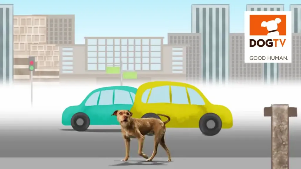 DOGTV