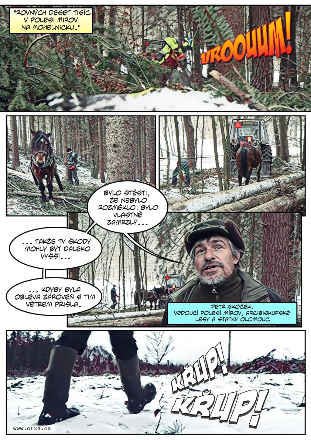 Následky silného větru v lesích