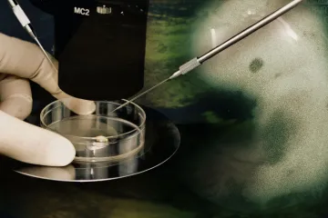 Záměnu embryí na klinice v Brně by mohl vyřešit smír a odškodnění v řádech milionů