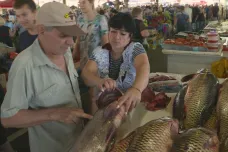 Cibule zdražuje každý den, ryb je málo. Kromě války čelí Ukrajinci i stoupajícím cenám