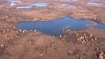 Permafrost