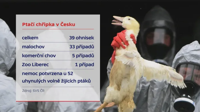 Případy nákazy ptačí chřipkou v Česku