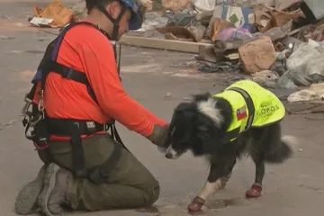 Měsíc od exploze v Bejrútu záchranáři stále hledají přeživší