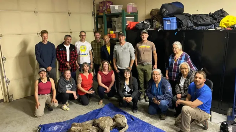 Zmrzlé mamutí mládě a jeho objevitelé