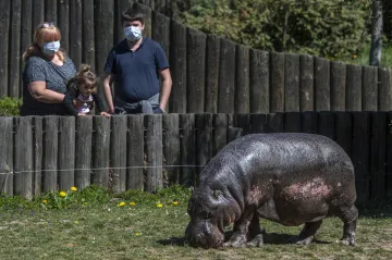 Velké zoologické zahrady otevřely venkovní prostory. Ty menší zatím nesplňují podmínky