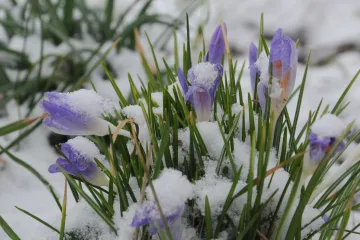 Na Šumavě minus 18, v Budějovicích minus sedm. Česko zažilo třetí mrazivé ráno v řadě