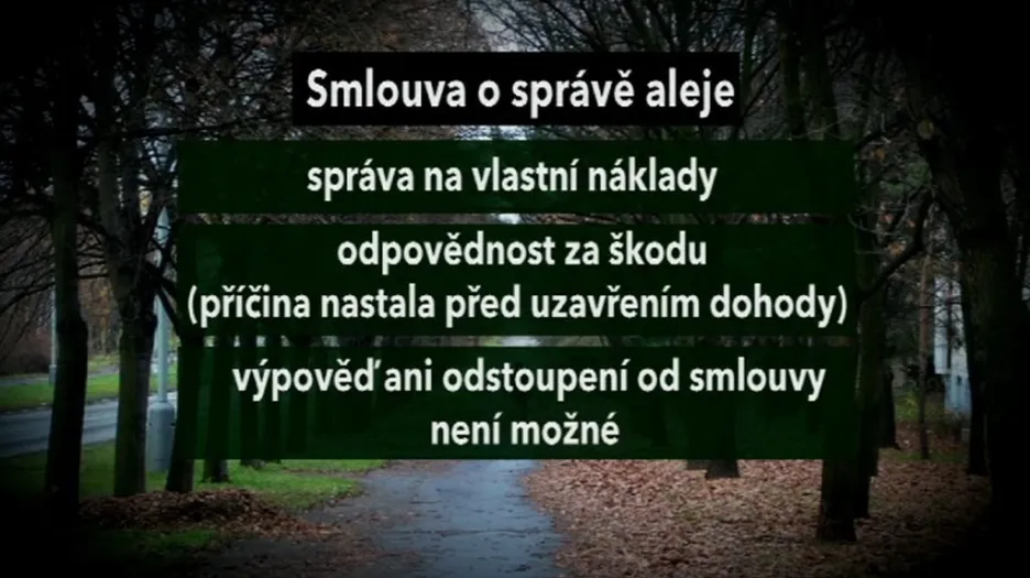 Smlouva o správě aleje v Thákurově ulici
