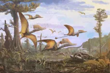 Vědci na skotském ostrově Skye objevili pozůstatky unikátního druhu pterosaura