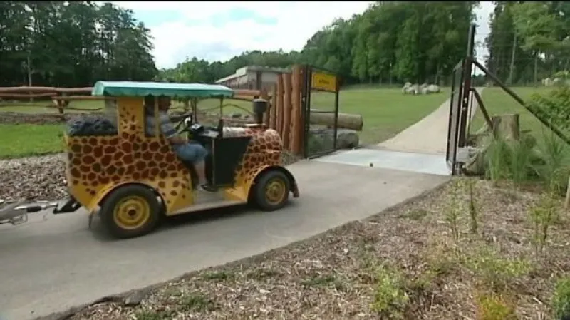 Ostravská zoo otevřela safari