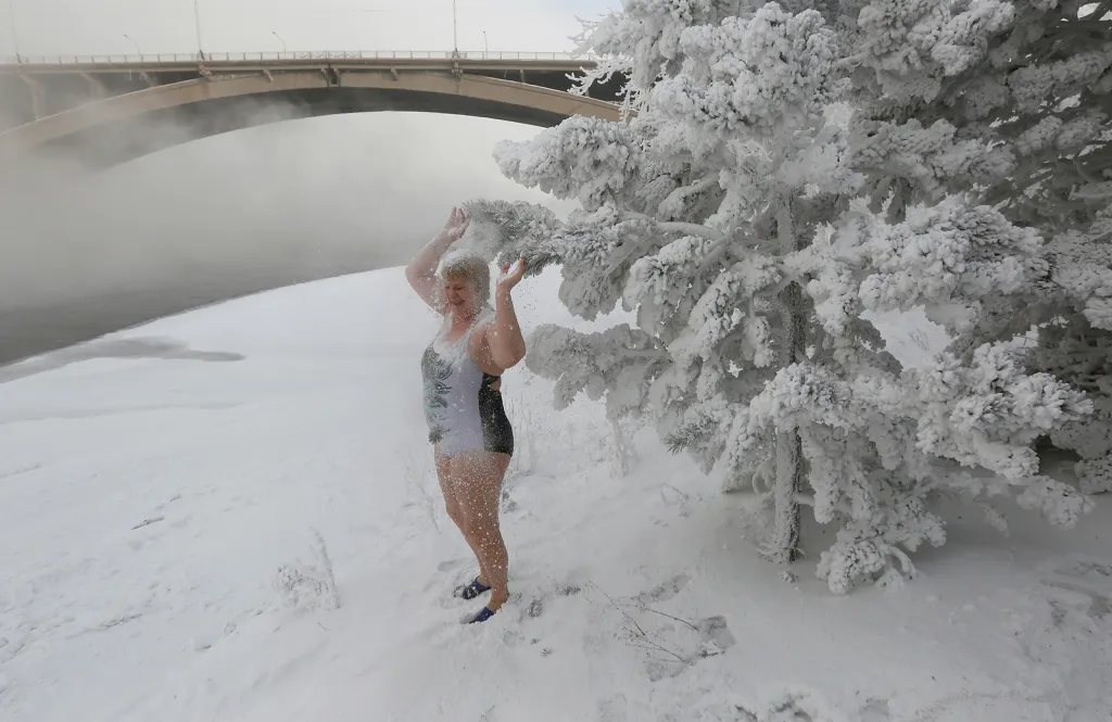 Ljubova Valijeva, členka otužileckého plaveckého klubu, se osvěžuje sněhem z borovicových větví na břehu řeky Jenisej při teplotě vzduchu okolo minus 38 °C v ruském Krasnojarsku.