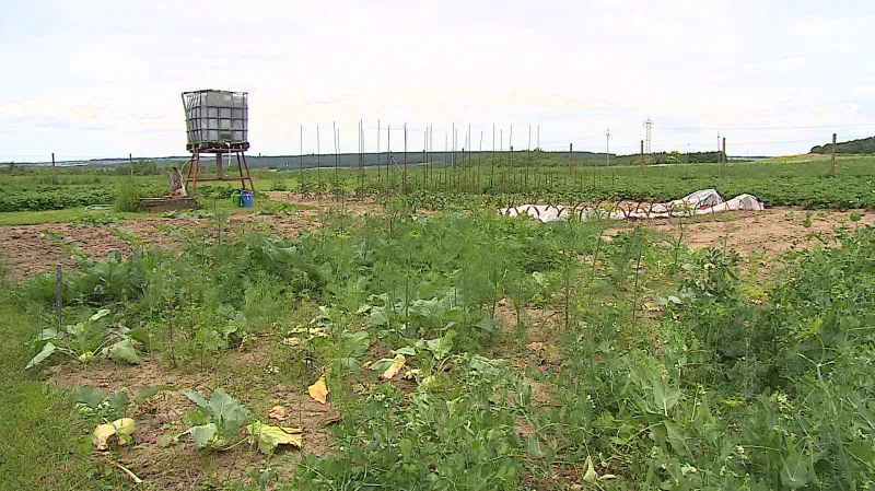 Retenční nádrž Jany Páralové plná nejspíše nikdy nebyla