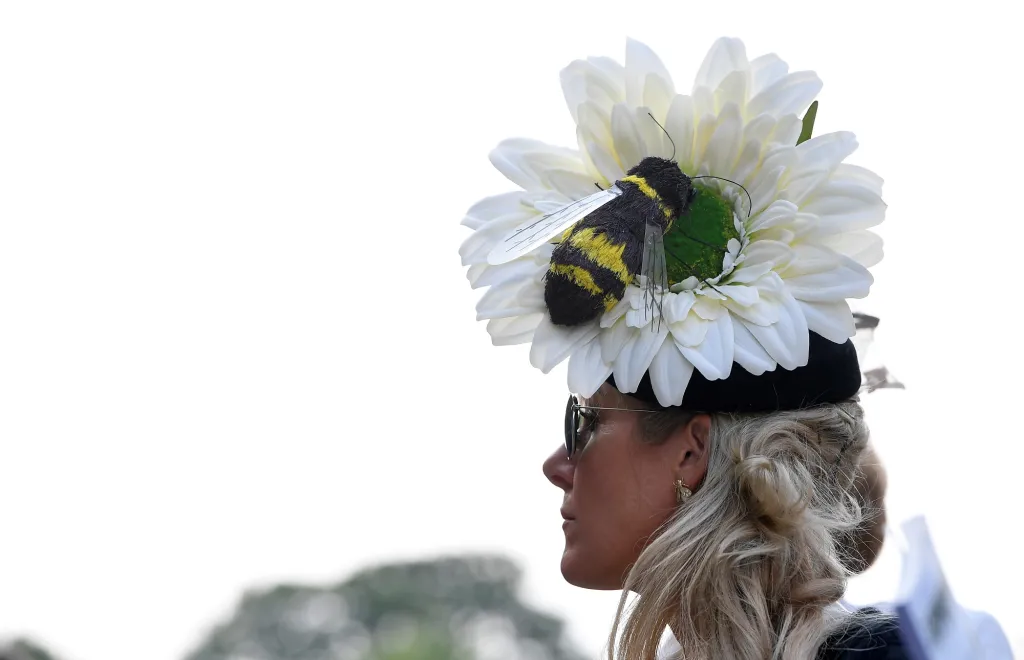 Chelsea Flower Show 2019