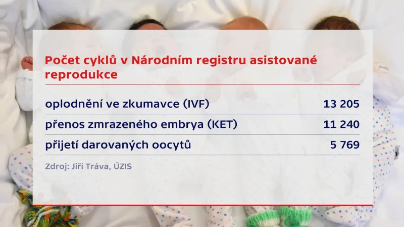 Počet IVF cyklů