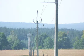 Energetici osazují sloupy vysokého napětí speciálními konzolemi, které mají chránit ptáky