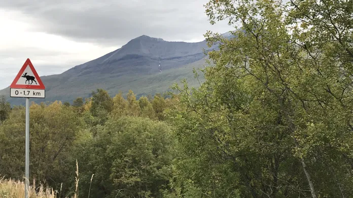 Upozornění na divokou zvěř je v Norsku poněkud odlišné