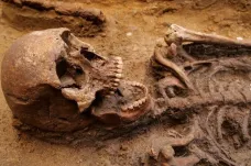 Archeologové našli na Břeclavsku hrob s kostrou langobardského bojovníka z 6. století