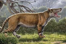 Pravěký africký lev byl větší než lední medvěd. Jeho kosti našli v Keni