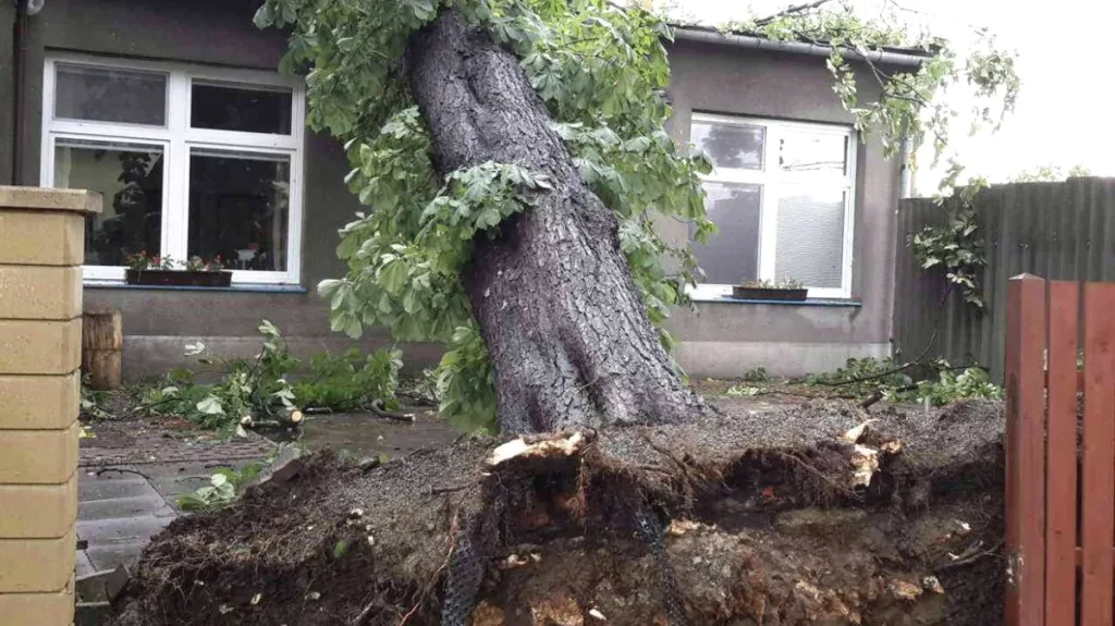 Následky nedělní bouře v Olomouckém kraji