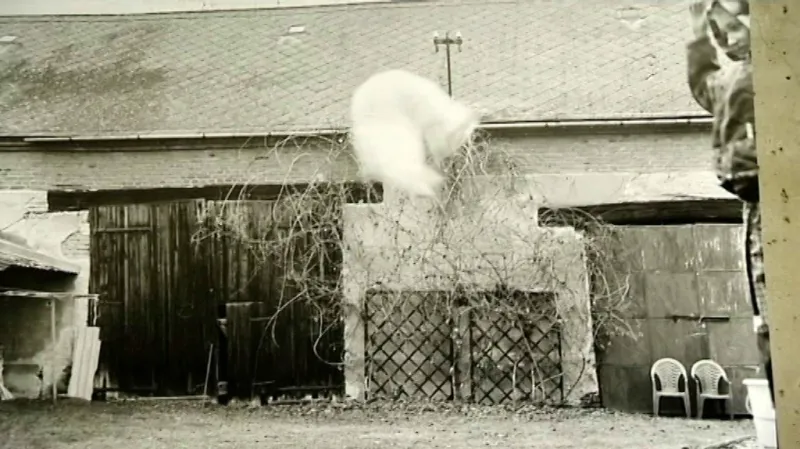 Výstava Michala Kalhouse v PLATU