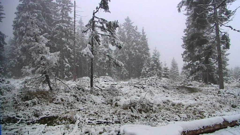 Šumava přivítala první letošní sníh