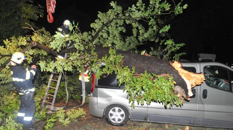 Hasiči nejčastěji zasahovali u popadaných stromů
