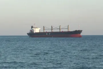 Експорт зерна з України 