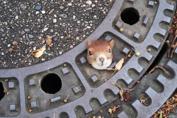 Operace se podařila, pacient zemřel