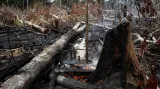 Požáry zuřící v amazonském deštném pralese letos dosáhly rekordního počtu. Brazilské středisko pro vesmírný výzkum INPE prozatím zaznamenalo víc než 70 tisíc požárů