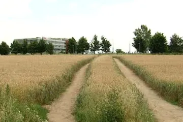 Na polňačky turisté mohou, i když vedou přes soukromý pozemek