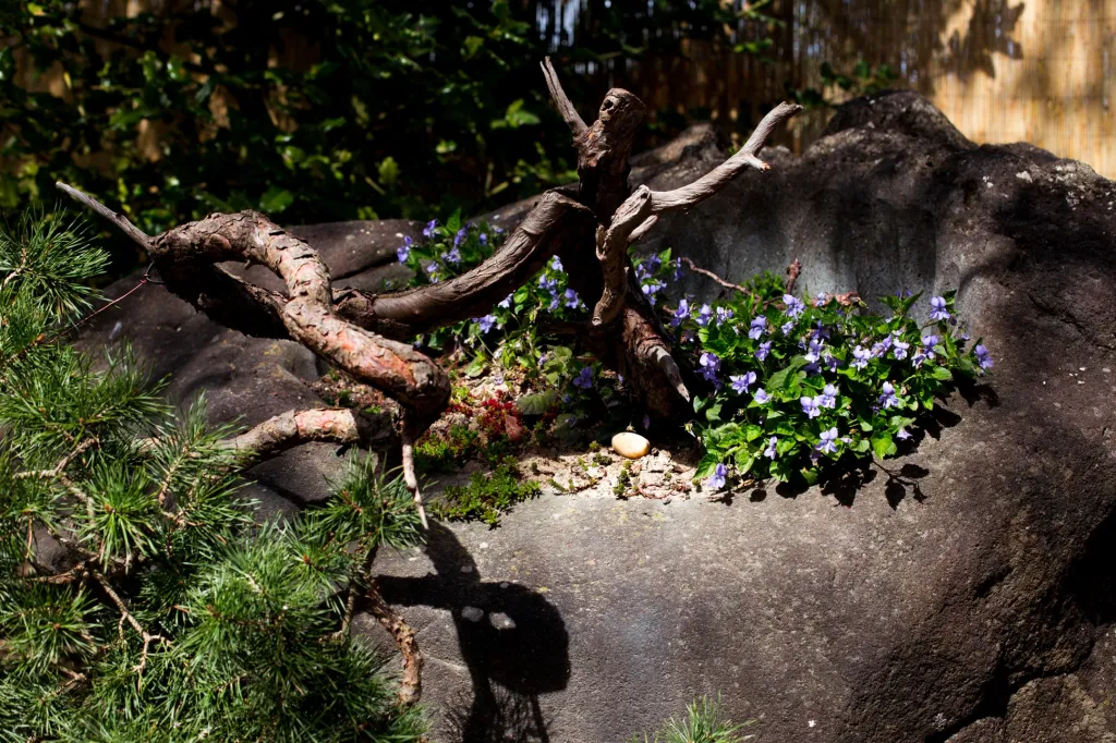 V letošním roce připravují pro návštěvníky nové informační tabule s odborným označením jednotlivých druhů rostlin. Nouzový stav ale ovlivnil přípravu i tohoto projektu