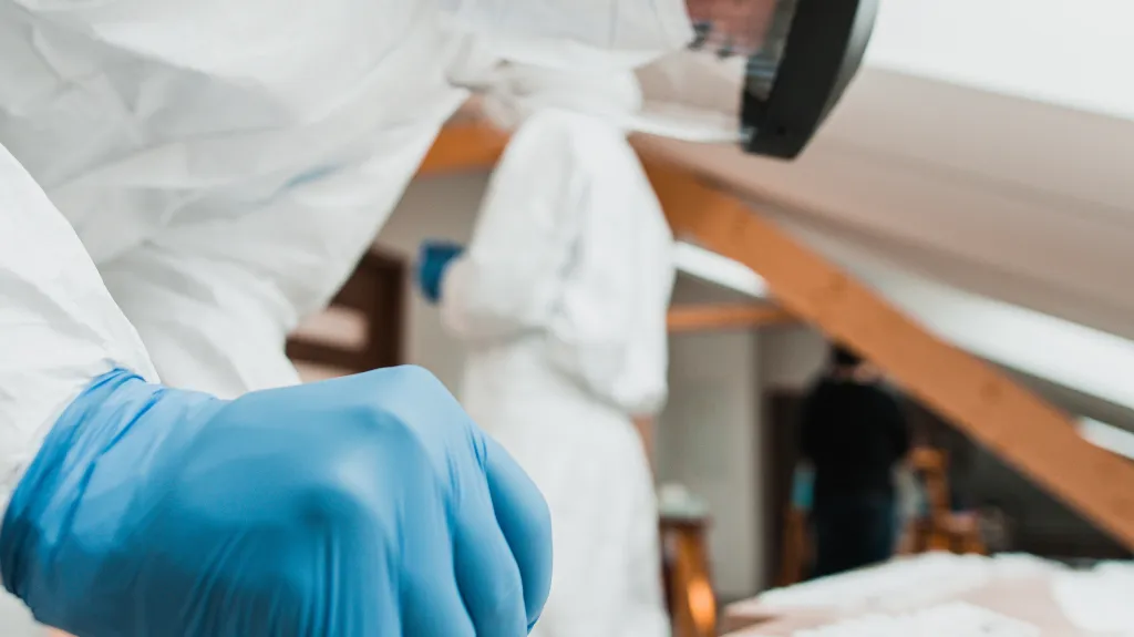 Ilustrační fotografie