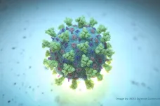 Koronavirová epidemie už nyní zásadně změnila vědu. K lepšímu