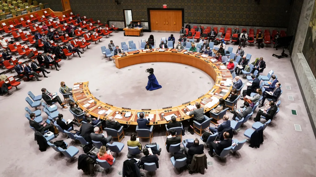 Rada bezpečnosti OSN k ruskému uznání nezávislosti okupovaného Donbasu