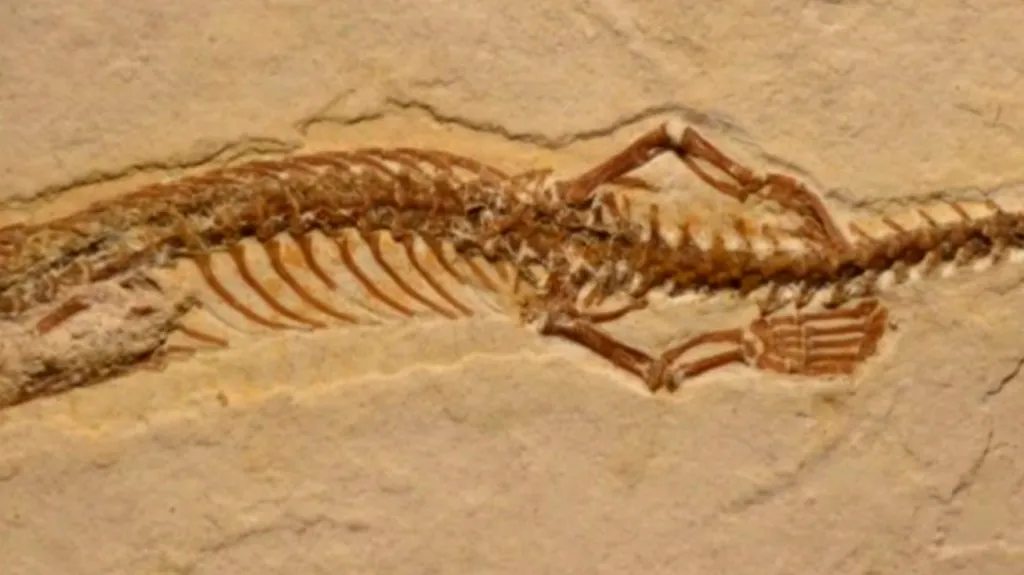Fosilie čtyřnohého hada