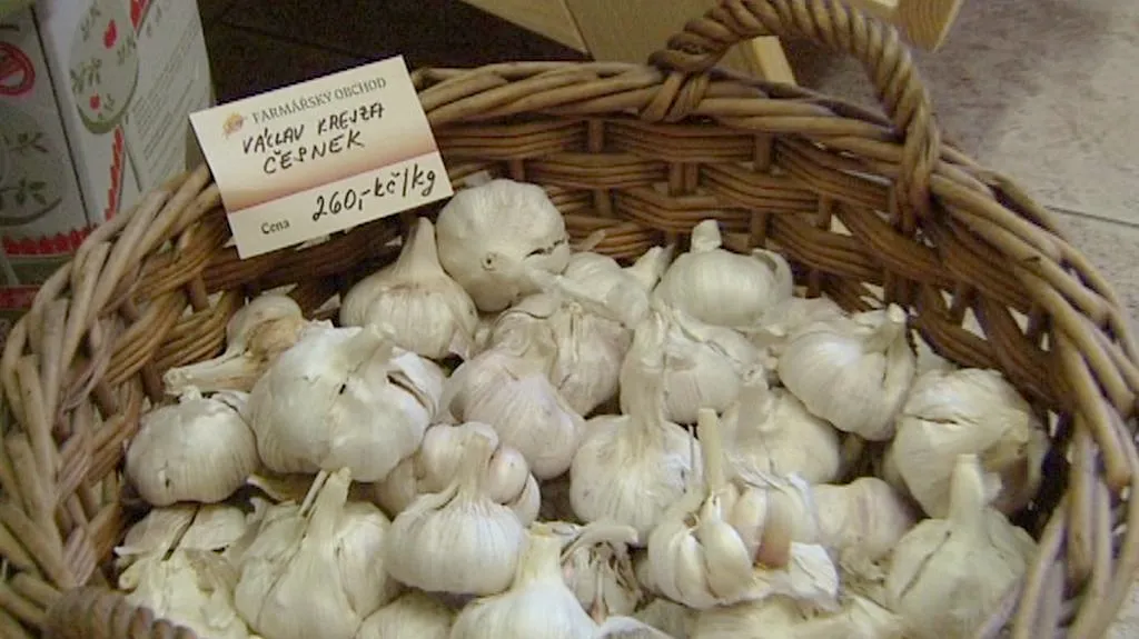 Český česnek