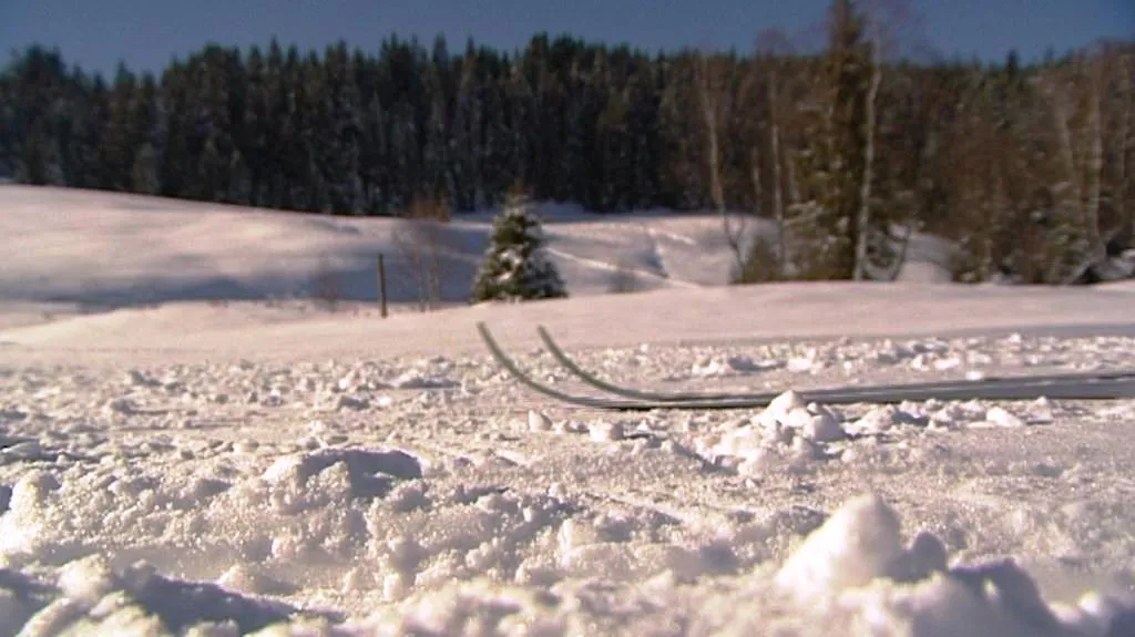 Běžkování na Šumavě