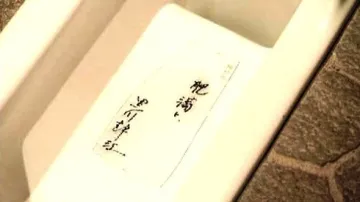 V Japonsku problémy splachují