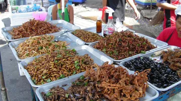 Fritovaný hmyz na stánku v Bangkoku
