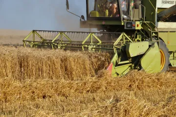 Zažíváme největší komoditní šok od 70. let, varuje Světová banka