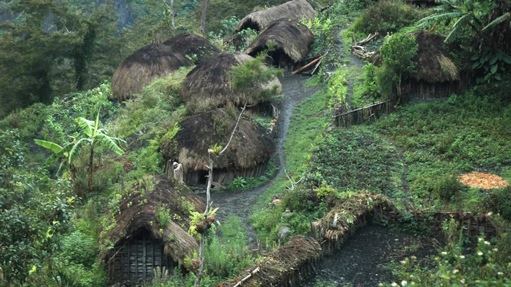 Ostrov Papua - údolí Baliem
