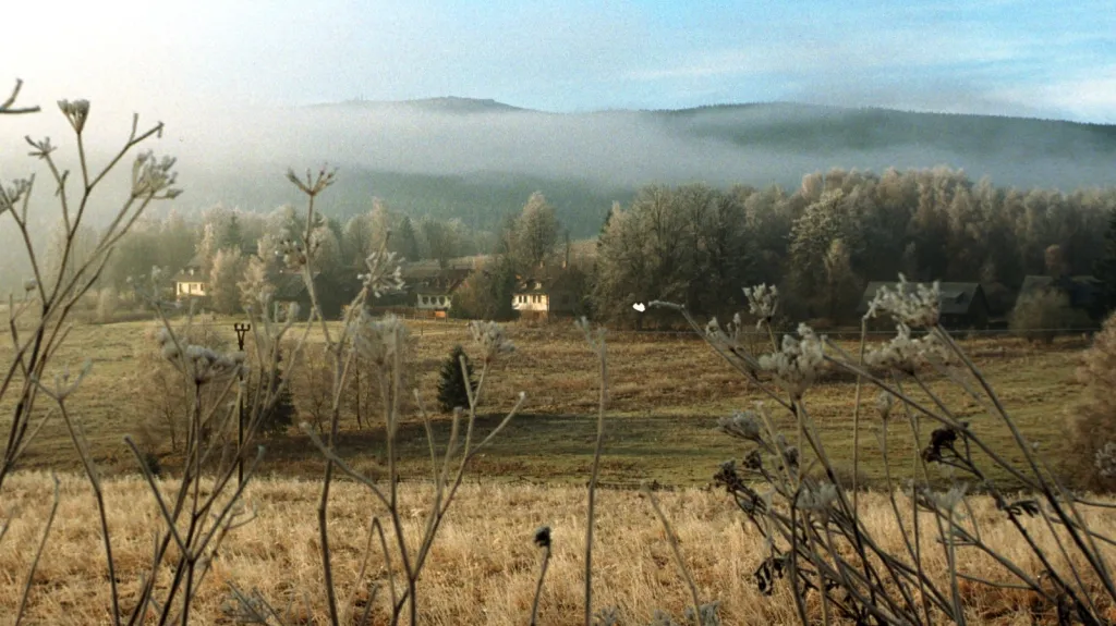 Ranní mráz na Šumavě