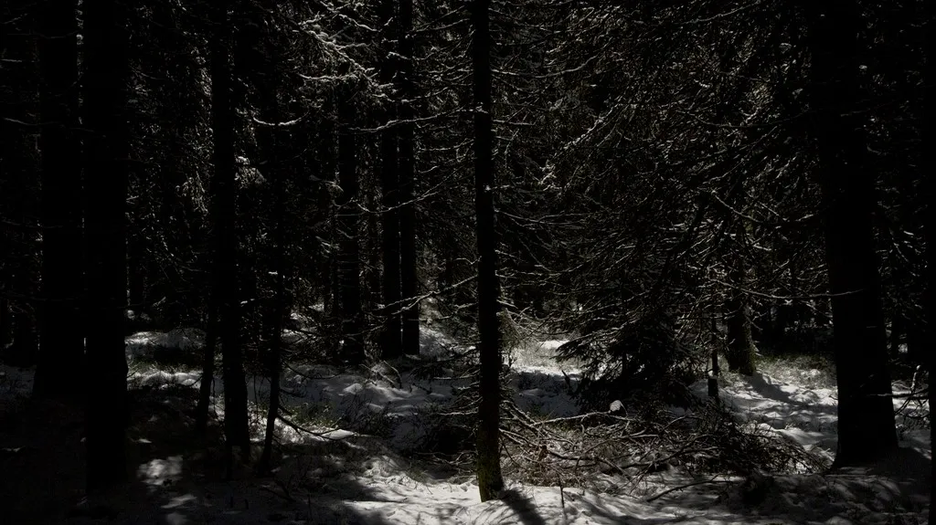 Fotografie Štěpánky Ročkové z cyklu Za půnocí