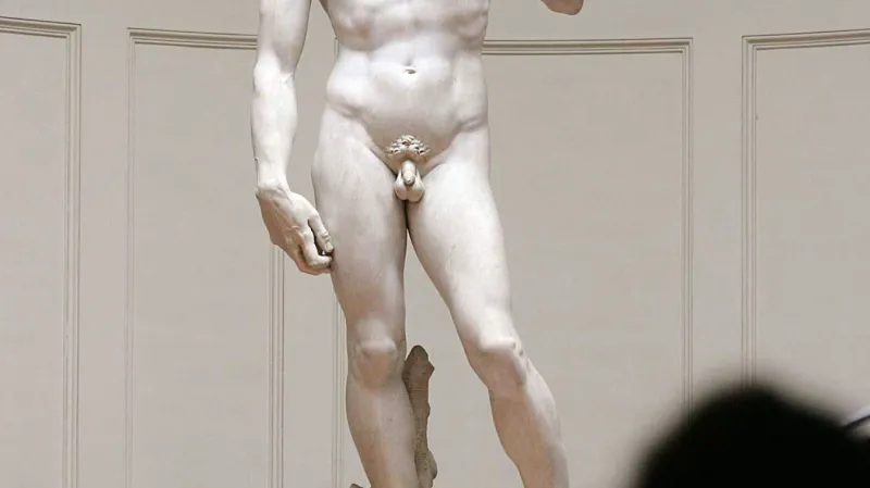 Michelangelův David