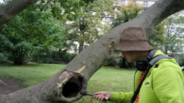 \"rádio d-cz\" - Světy života