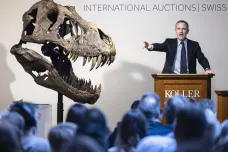 Kostra Tyrannosaura rexe se ve Švýcarsku vydražila za více než 130 milionů korun