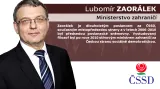 Lubomír Zaorálek – ministerstvo zahraničí